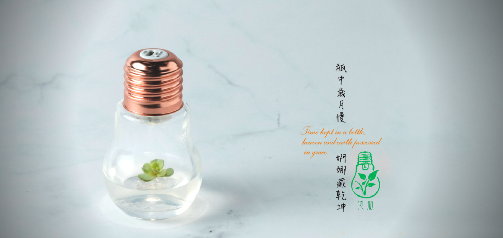芯宸農業科技-page2